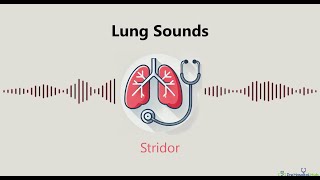 Lung Sounds Stridor [upl. by Ahseenat845]