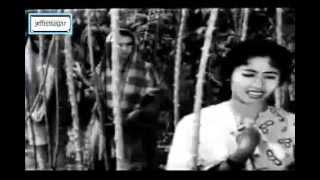 OST Sri Mersing 1961  Damak ku Sayang  Siti Mariam [upl. by Nochur]