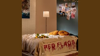 RED FLAGS [upl. by Katya]