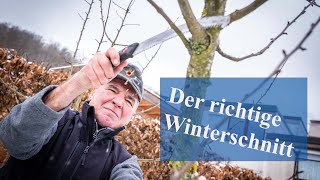 Dem Apfelbaum den richtigen Winterschnitt verpassen [upl. by Fortier662]