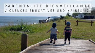 Les violences éducatives ordinaires VEO 2  Parentalité bienveillante [upl. by Alexandre606]