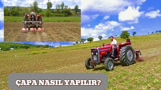 AYÇİÇEĞİ ÇAPASI NASIL YAPILIR ÇAPA ETKİLİ OLUYOR MU [upl. by Aicargatla]