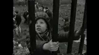 RTÉ documentary about Sheriff Street in the 1960s [upl. by Eittik]