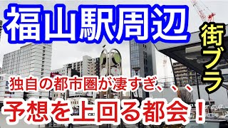 【予想を上回る都会】広島県福山市駅周辺を散策！広島市とは別の独自の都市圏での栄え方、観光地とも素晴しかった！ [upl. by Hessney408]