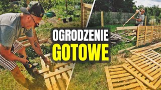 👷‍♂️ WYBIEG DLA ŚWINEK GOTOWY 👷‍♂️ Marysia i Pola dołączyły do stada  MOJE MINI ZOO  odc 452 [upl. by Melly]