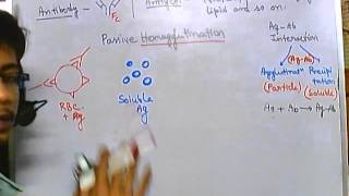 Hemagglutination assay [upl. by Marie-Jeanne]