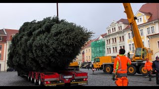 Weihnachtsbaum Löbau 2024 ist da [upl. by Fattal]