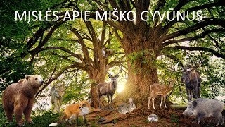 Mįslės apie miško gyvūnus  Mislės vaikams  Įgarsinta [upl. by Jauch]