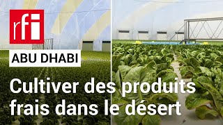 Emirats arabes unis  cultiver des produits frais dans le désert  • [upl. by Ahsiled]