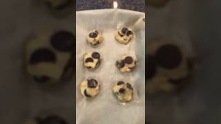 I love my chocolate chip cookies music funny cookies chocolate [upl. by Anigriv]