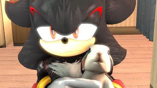 Shadow The Hedgehog the sweetest scene [upl. by Lassiter]