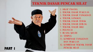 How to learn pencak silat  Basic Silat Techniques PART 1 pencak silat [upl. by Abbey]