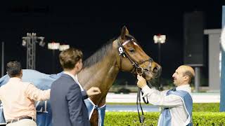 Trainer George Boughey on Walbank  Dubai Racing 🇦🇪 [upl. by Lantz]