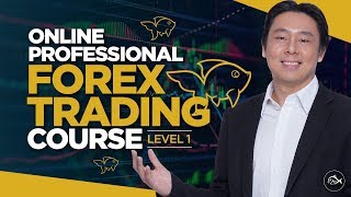 Introducing the Online Professional Forex Trading Course by Adam Khoo [upl. by Sorips]