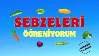 Sebzeleri Öğreniyorum  Im learning vegetables Sebzelerin İsimleri [upl. by Anaitak]