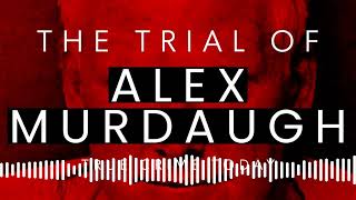 COURT AUDIO Alex Murdaughs Good ol Buddy Cory Fleming Sentenced In Court [upl. by Conlan]