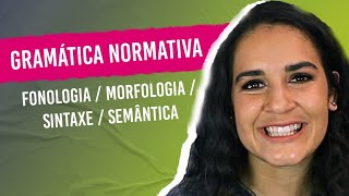 GRAMÁTICA NORMATIVA Fonologia Morfologia Sintaxe Semântica Aprenda a diferenciar [upl. by Aicilak386]