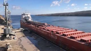 Baie Comeau docking at Picton Terminals [upl. by Bellanca]