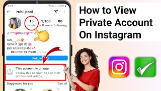 How to View Private Account on Instagram 2024  View Private Account on Instagram [upl. by Redmund]