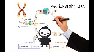 Pharmacology  CANCER DRUGS  ANTIMETABOLITES MADE EASY [upl. by Carline]