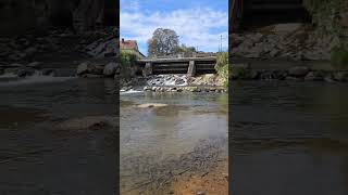 Fluss Feistritz in Fürstenfeld in der Steiermark natur shorts [upl. by Pascha]