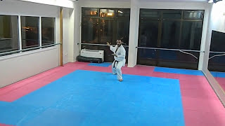 Bassai Dai Shotokai Egami Ryu Karate Union [upl. by Ykcir]