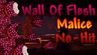 Terraria Calamity Mod  Wall Of Flesh  Malice Mode NoHit [upl. by Penman]