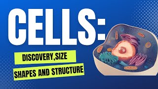 Cells Discovery Size Structure And Shape  Class 8  DAV [upl. by Evelunn]