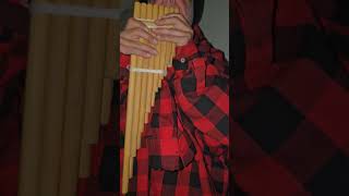 The ZZZampona double rowed pan flute from Bolivia [upl. by Fabrienne]