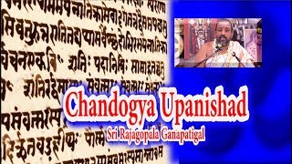 Chandogya Upanishad  சாந்தோக்ய உபநிடதம்  Sri Rajagopala Ganapatigal [upl. by Memory]