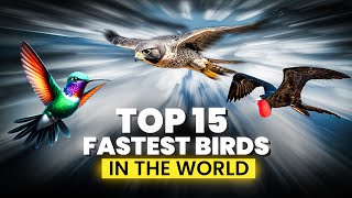 The 15 Fastest Birds in the World  Birds that Fly the Fastest  Top 15 Fast Birds  Birdie Learning [upl. by Grae]