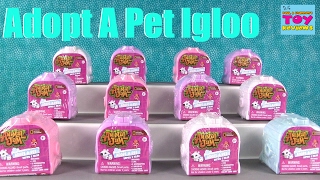 Animal Jam Igloo Adopt A Pet Series 2 Blind Bag Opening  PSToyReviews [upl. by Donica342]