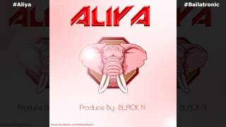 Aliya Bailatronic Original Mix by Niro BlackN [upl. by Roderick]