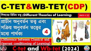 Different Between Classical And Operant Congratulations theoryLearning TheoryCtet And Wbtet [upl. by Munster]