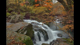 石川郡平田村 山鶏滝・・・241115 [upl. by Eilrebma460]