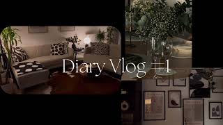 Diary Vlog 1  Welcome to my vlog 🤍 [upl. by Chaim]