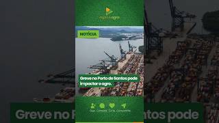 Greve no Porto de Santos pode impactar o agro [upl. by Leontyne]