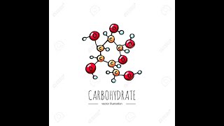 CARBOHYDRATES chemistry شرح بالعربي [upl. by Nash]