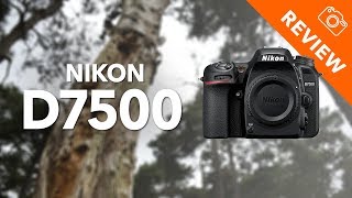 Nikon D7500 review  Kamera Express [upl. by Najib]