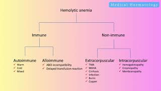 Medical haematology  Intravascular vs Extravascular haemolysis exam notes table contents [upl. by Eniger17]