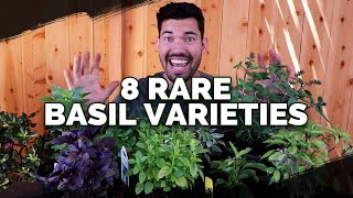 8 Basil Varieties You Might Not Know About [upl. by Gillie]