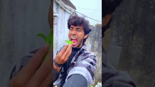 24 Hours Green Food Challenge☘️🤐 minivlog vlog shorts [upl. by Ettedualc944]