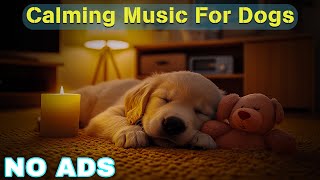 12 Hours of Healing Music for Dogs 🦮 Dog Relaxing Music for Stress Relief 🐶 Dog Anxiety Music💖No Ads [upl. by Eendys]