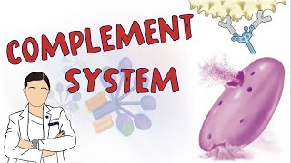 THE COMPLEMENT SYSTEM [upl. by Annazor]