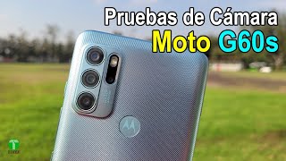 Moto G60s Pruebas de Camara  Tecnocat [upl. by Gnes]