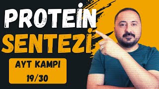 Genetik ŞifreProtein Sentezi  30 Derste AYT Biyoloji Kampı 19Ders  2025  Cici Biyoloji [upl. by Albertina]