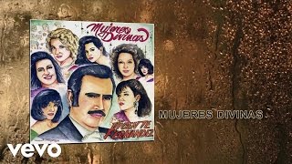 Vicente Fernández  Mujeres Divinas Cover Audio [upl. by Eanod]