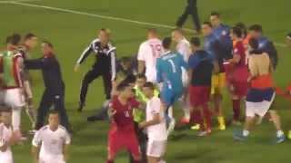 Serbia vs Albania Euro 2016 Qualifier Abandoned Due to Fan [upl. by Hilel507]