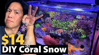 For 14 More Water Clarity No Cyano Vermetid Snail Lower Nutrients Testing out DIY Coral Snow [upl. by Llennoc444]