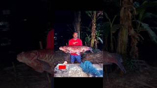 Big Curp Fish fishing 24 hoursfishing for carpbig carp fishing ukblardcurp shortsfish fishing [upl. by Ahseekat]